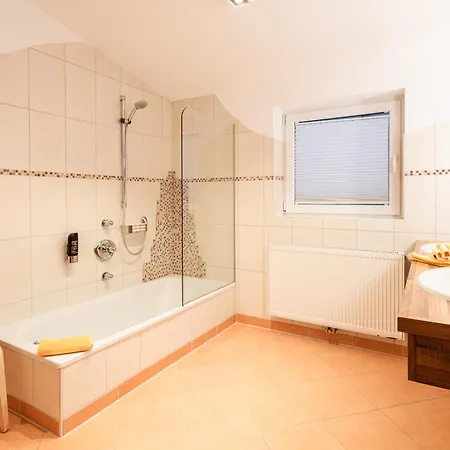 أبارت هوتل ألبين Neukirchen am Großvenediger